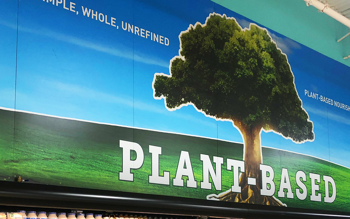 Best Market Plant Based Decor in Syosset by Katie Calleo / Flanagan